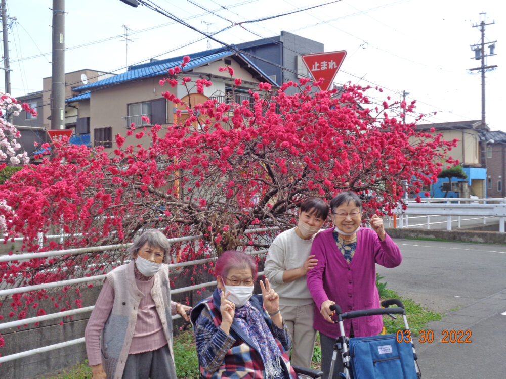 静岡清水区老人ホーム_花桃