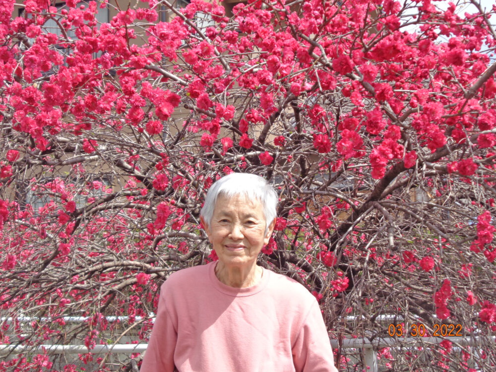 静岡清水区老人ホーム_花桃