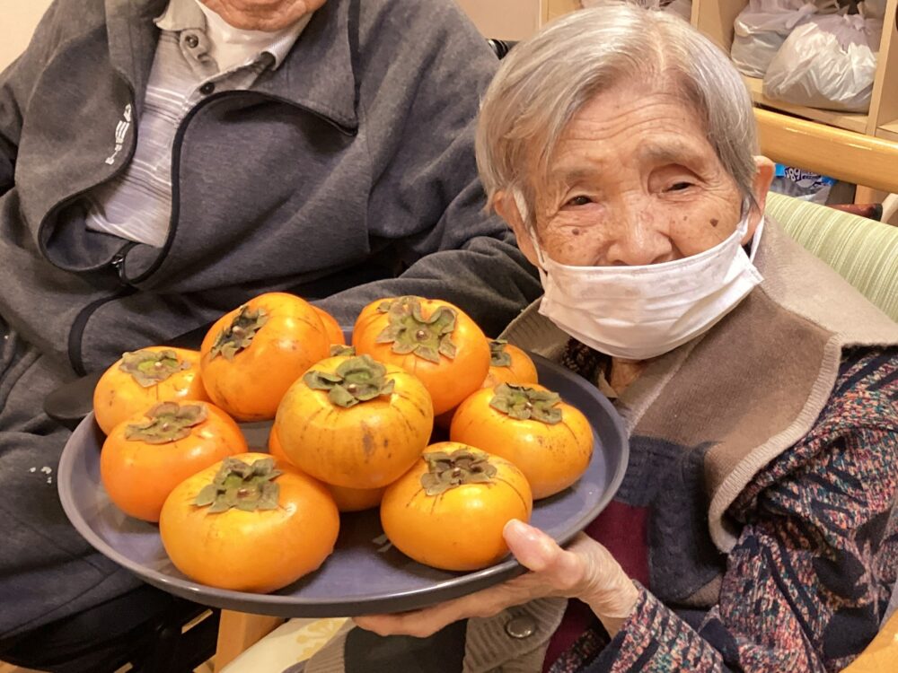 静岡市清水区老人ホーム_柿