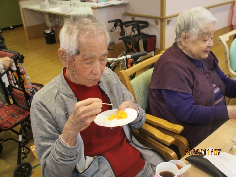 静岡市清水区老人ホーム_柿