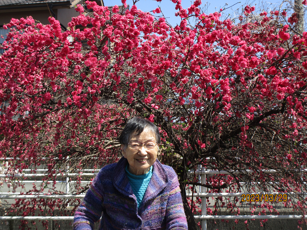 静岡市清水区老人ホーム_満開の花桃