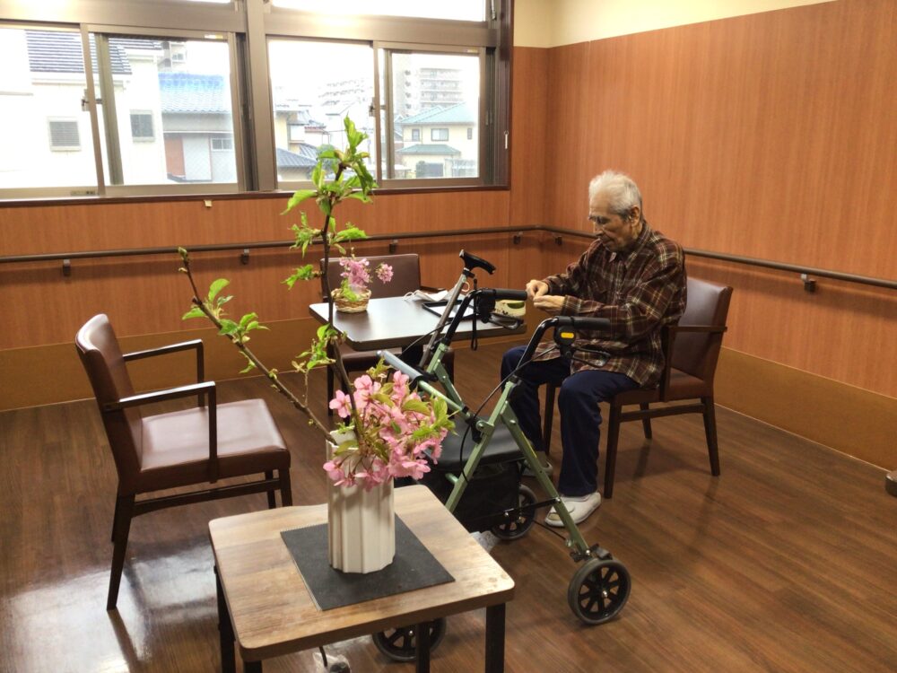 駿東郡長泉町老人ホーム_河津桜のお花見