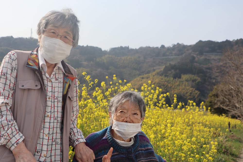 静岡市葵区有料老人ホーム_菜の花畑