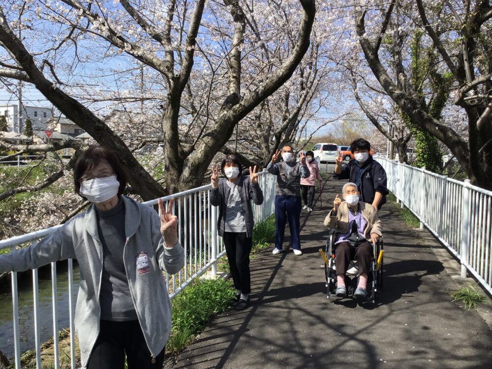 藤枝市老人ホーム_春満開お花見ドライブ