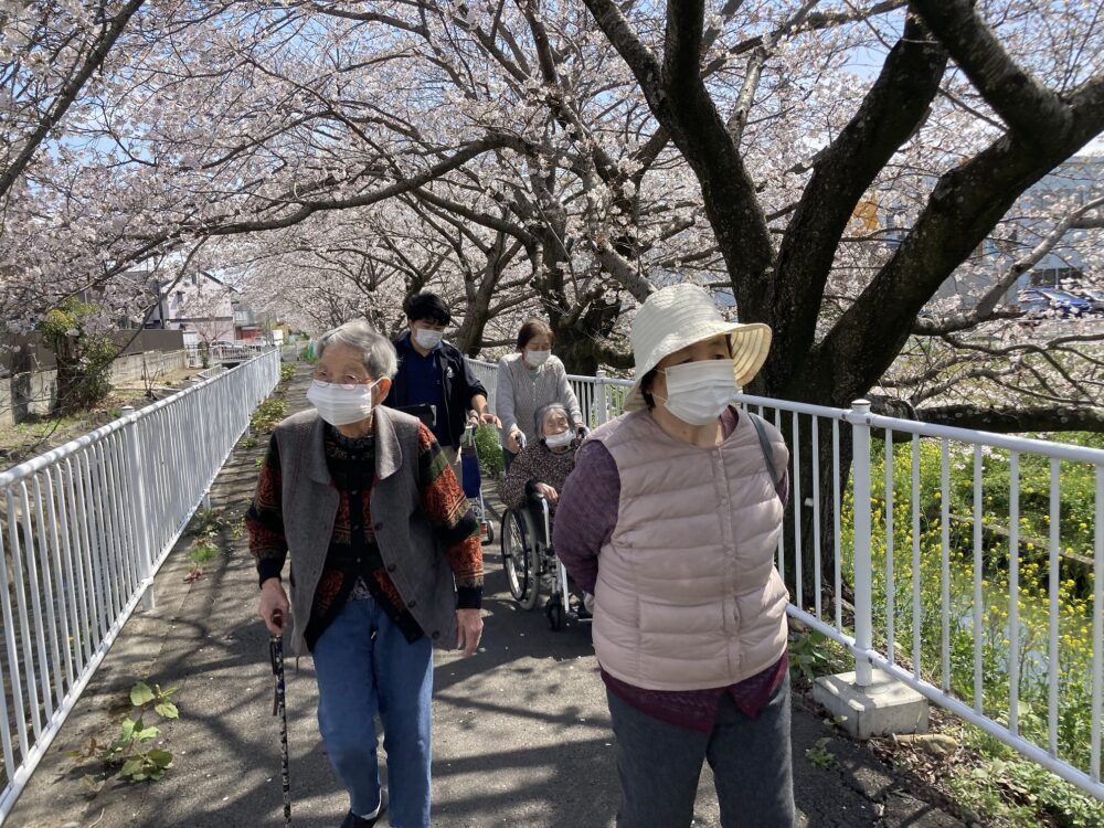 藤枝市老人ホーム_春満開お花見ドライブ