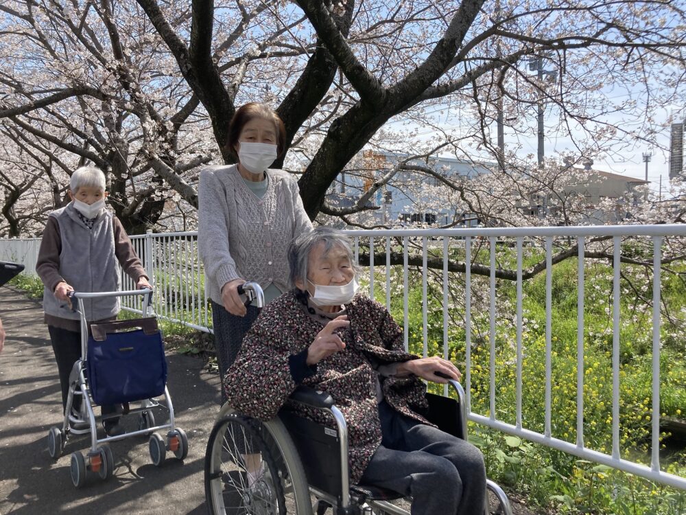 藤枝市老人ホーム_春満開お花見ドライブ