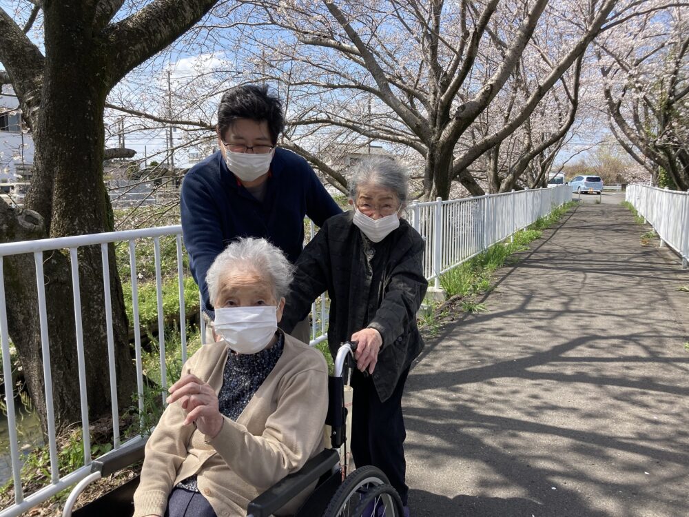 藤枝市老人ホーム_春満開お花見ドライブ