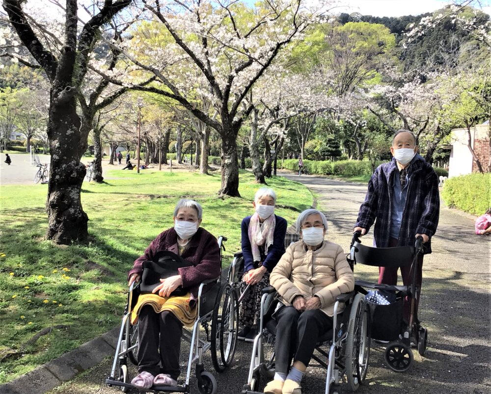 静岡市葵区有料老人ホーム_春の桜並木と小道の夜桜鑑賞会