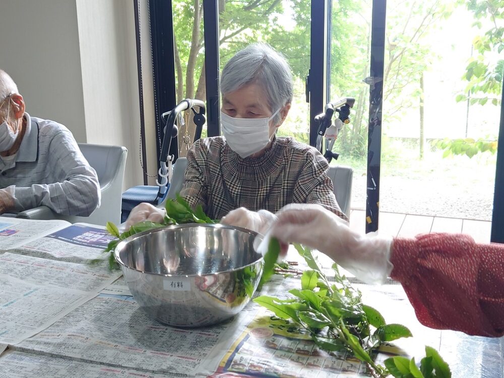 静岡市葵区有料老人ホーム_新茶の芽の天麩羅レク