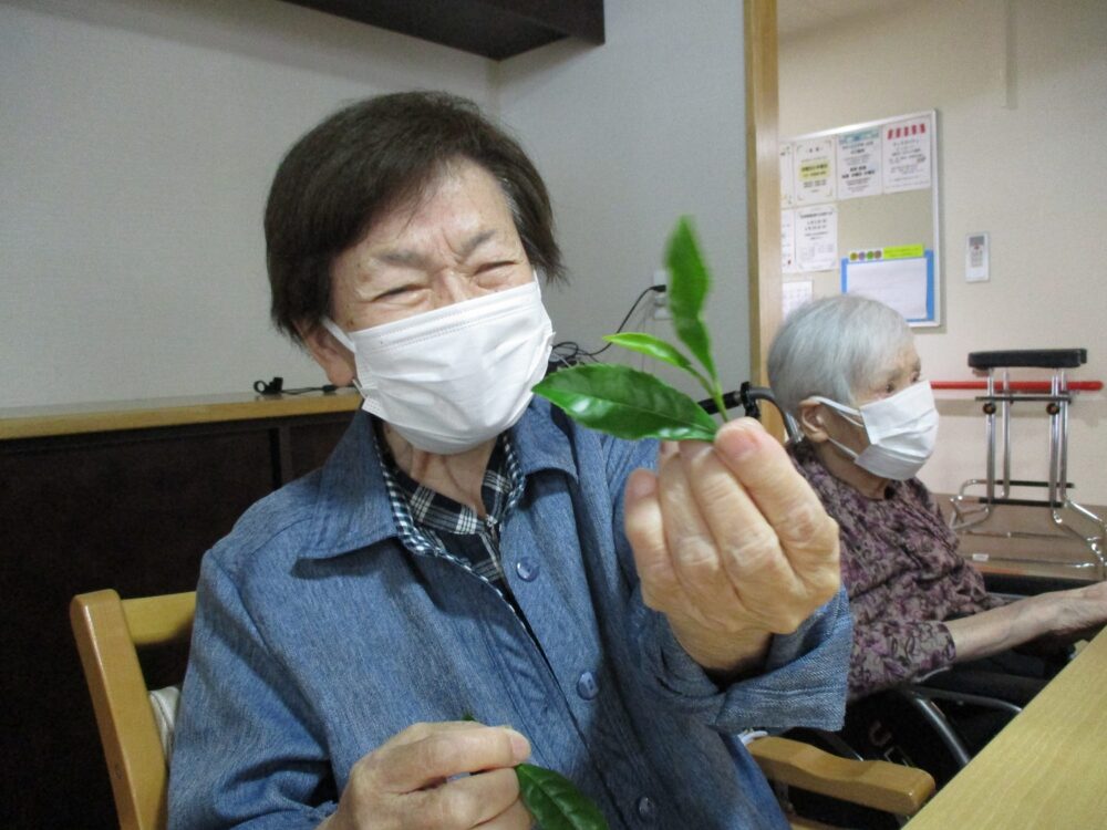 静岡市葵区老人ホーム_茶摘みと茶そばの会