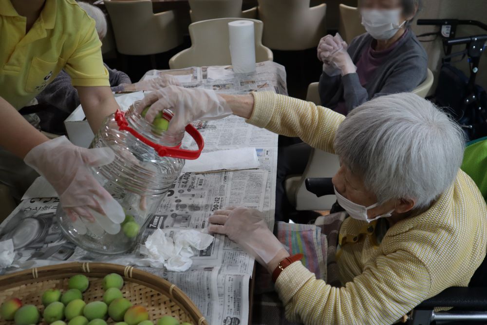 静岡市葵区有料老人ホーム_季節を感じる梅仕事