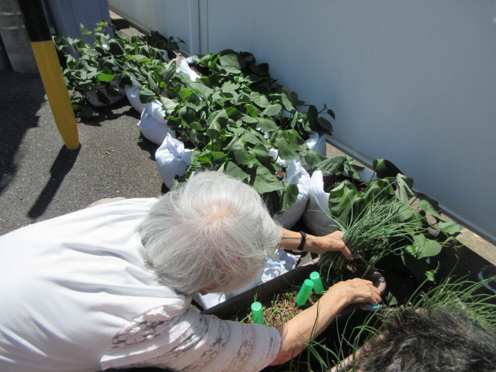 浜松市老人ホーム_夏野菜のおろし蕎麦