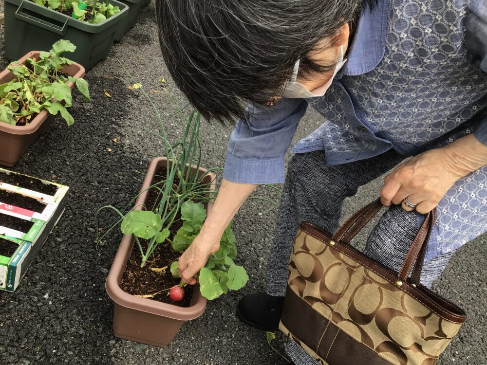 浜松市老人ホーム_併設のデイサービスで行う園芸療法