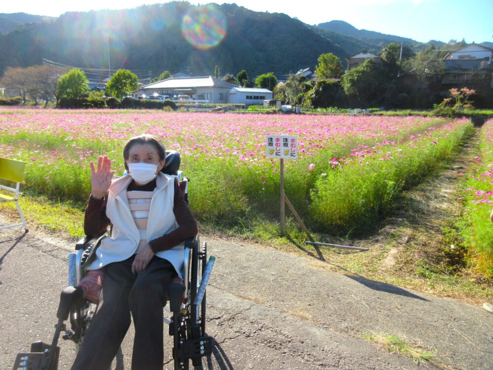 静岡市葵区有料老人ホーム_藤枝市岡部町のコスモス畑