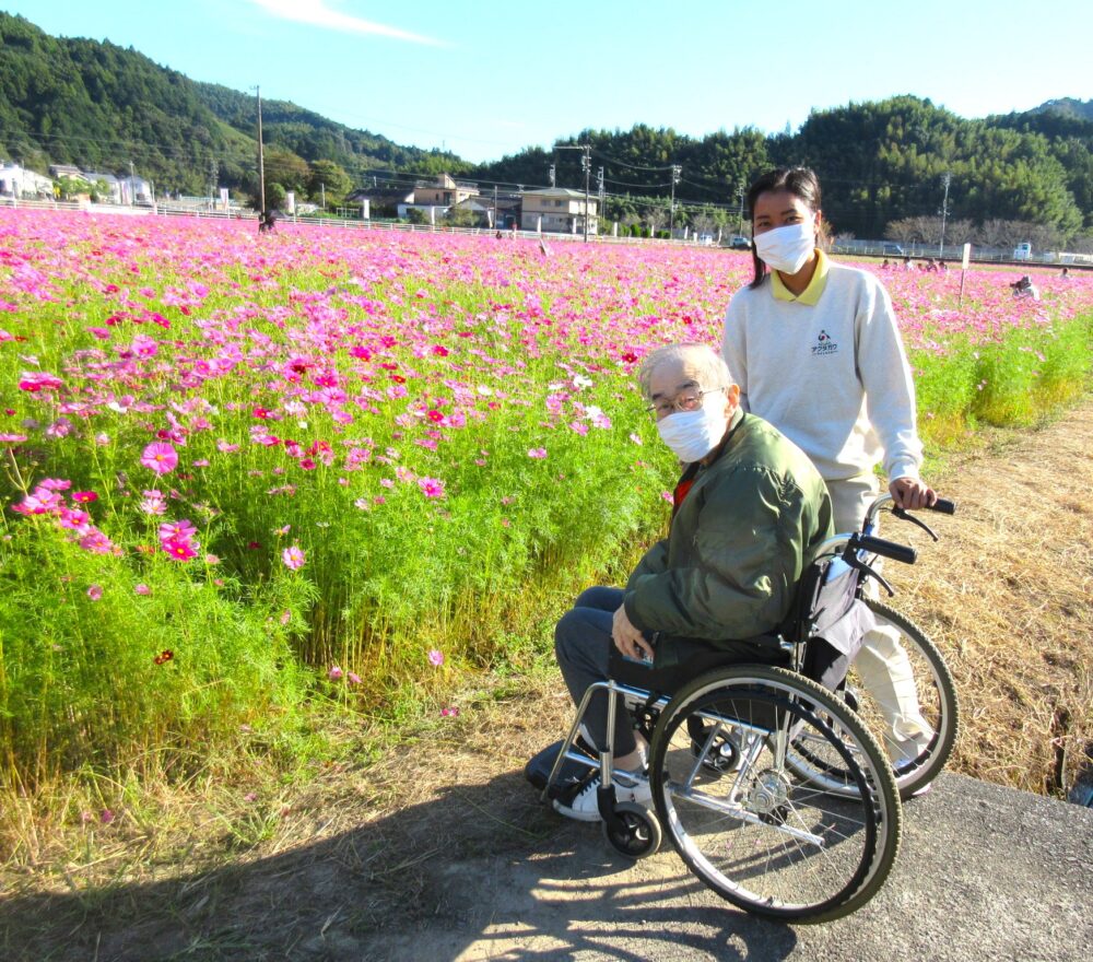 静岡市葵区有料老人ホーム_藤枝市岡部町のコスモス畑