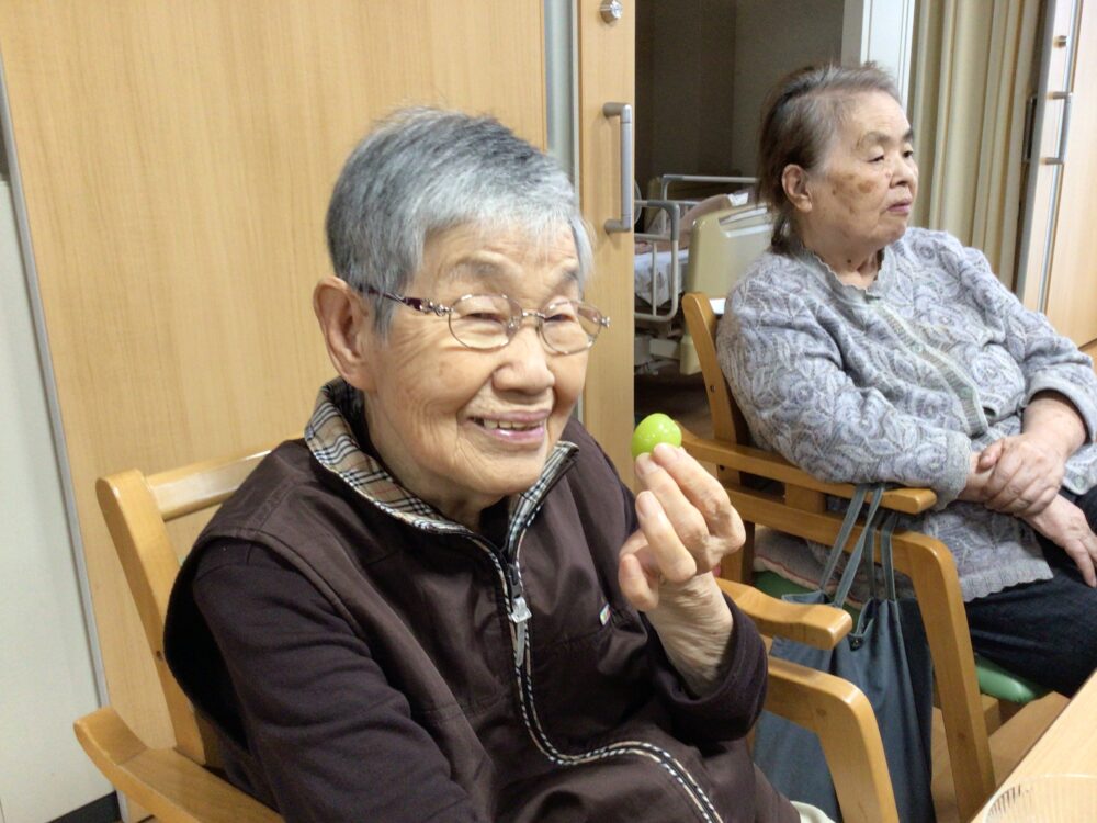 藤枝市老人ホーム_高柳おもてなし旅行山梨編