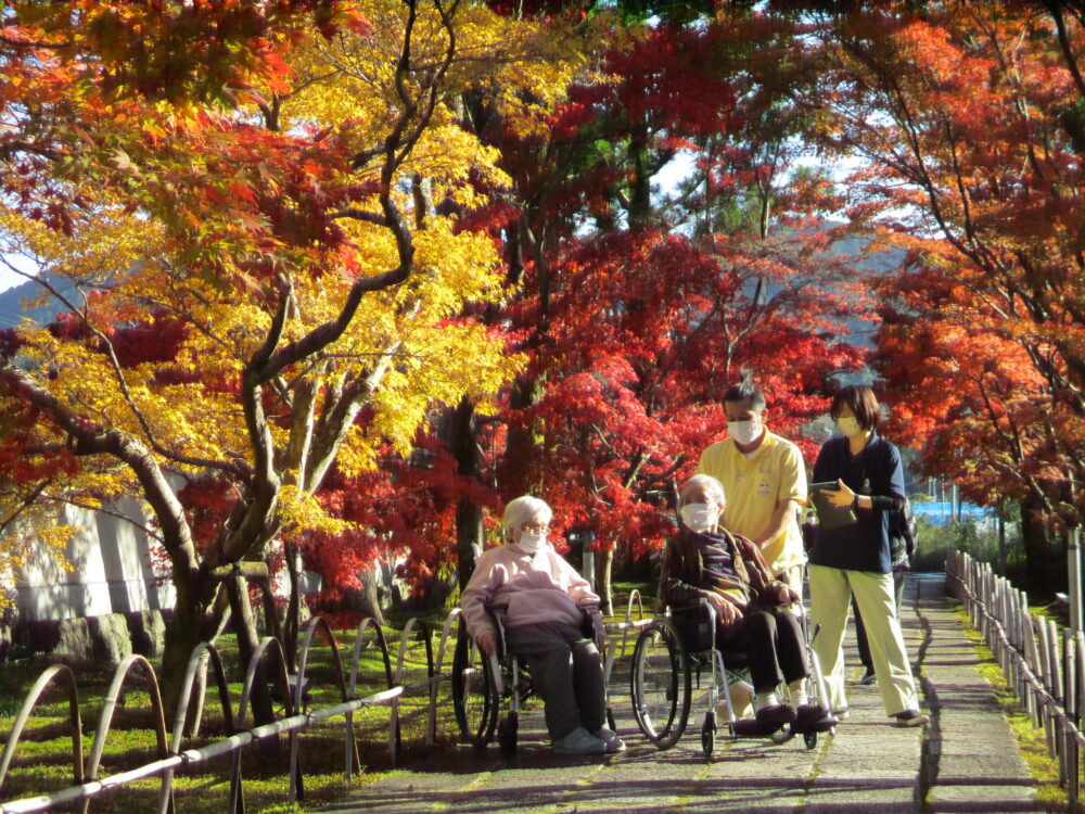 静岡市葵区老人ホーム_紅葉狩りドライブ