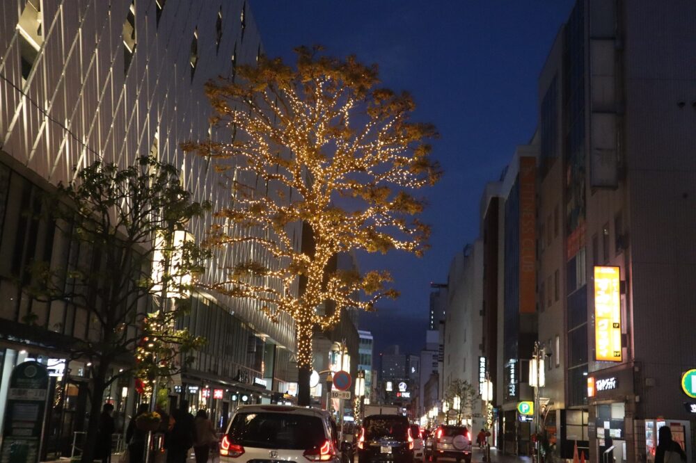 静岡市葵区有料老人ホーム_イルミネーションツアー