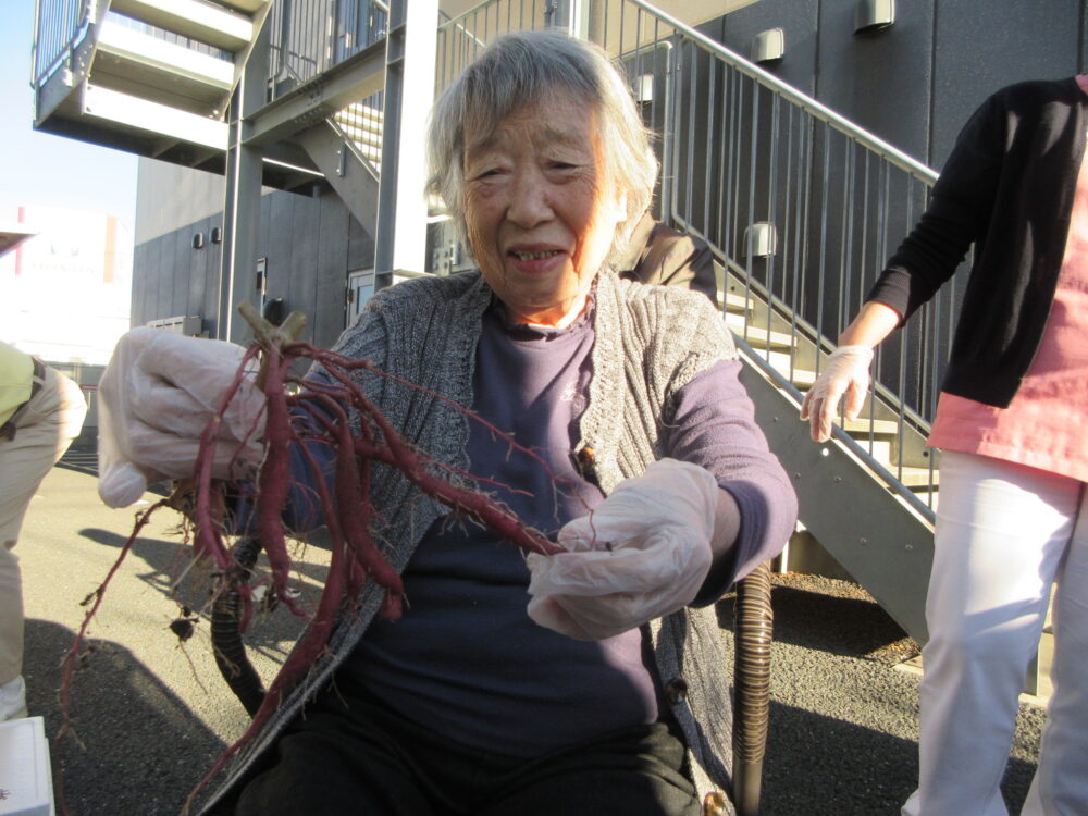 浜松市老人ホーム_さつま芋の甘煮とカッテージチーズ作り