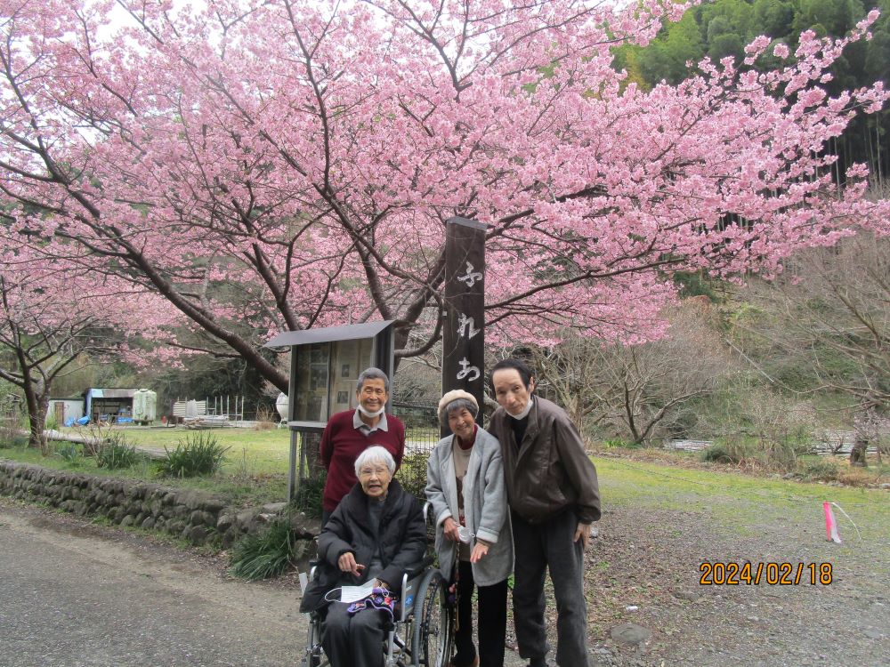 静岡市清水区老人ホーム_ふれあいの里河津桜梅花見