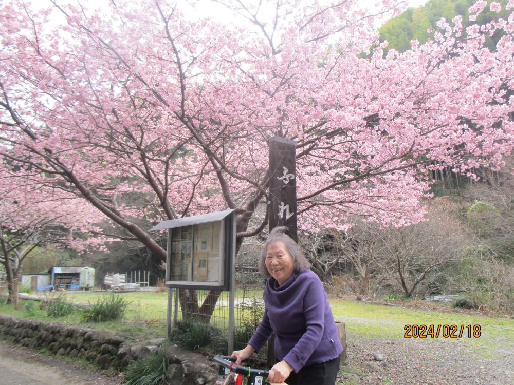 静岡市清水区老人ホーム_ふれあいの里河津桜梅花見