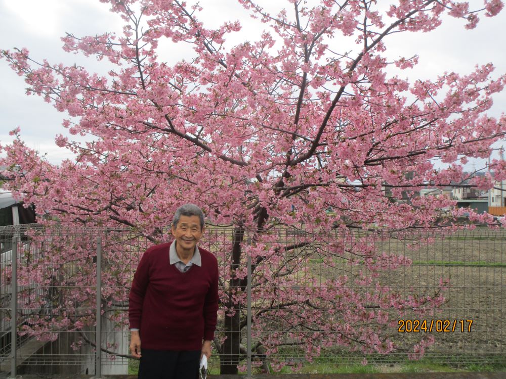 静岡市清水区老人ホーム_ふれあいの里河津桜梅花見