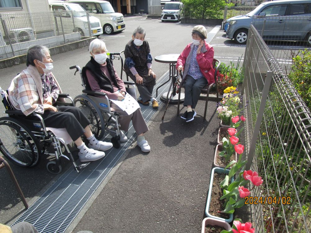 静岡市清水区老人ホーム_咲いた咲いたチューリップの花