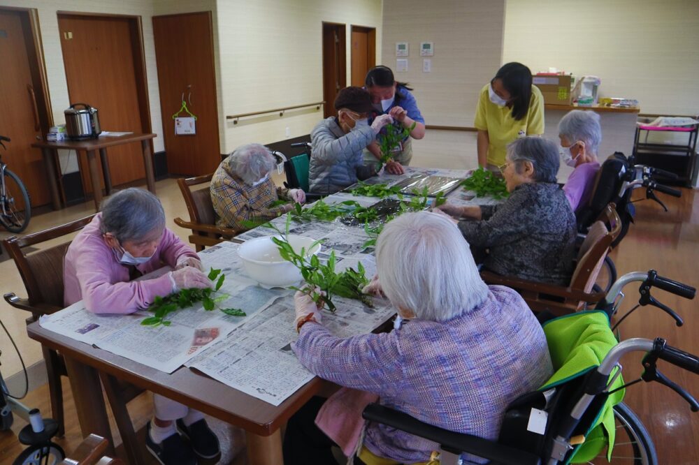 静岡市葵区有料老人ホーム_新茶を愉しむ会