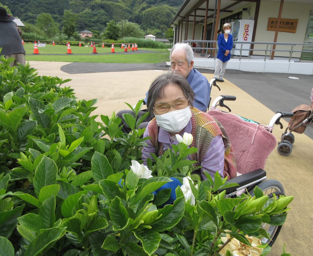 静岡市葵区老人ホーム_外出レクあさはた緑地公園